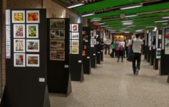 exposition